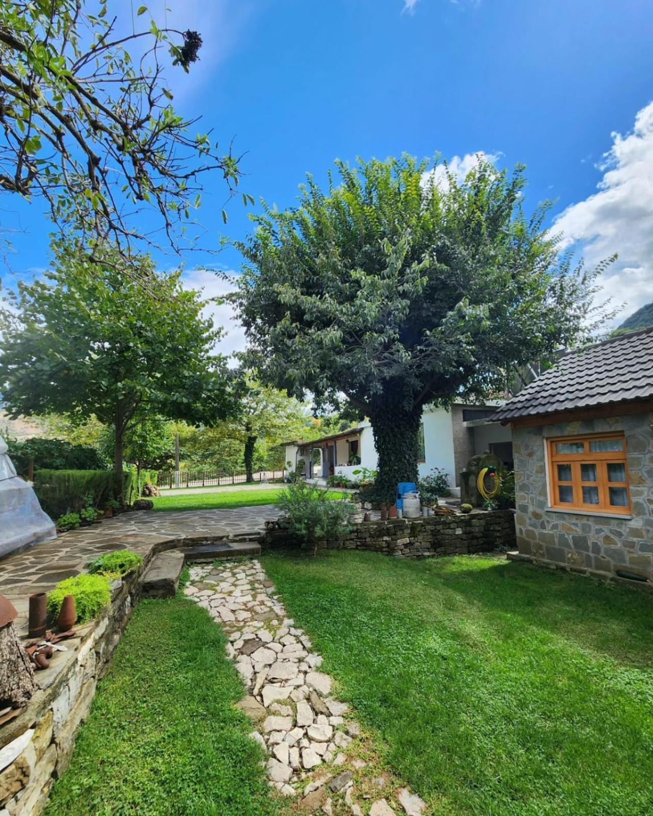 Bujtina Peshtan Guesthouse&Camping Tepelene Eksteriør billede